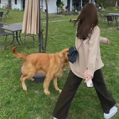 四叠半的艺伎世界